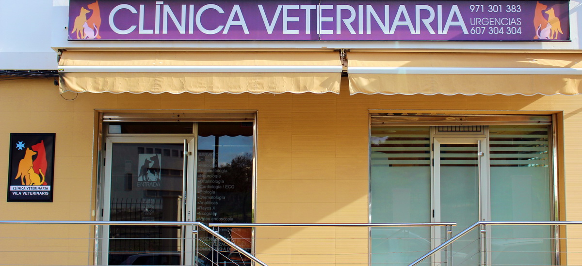 Bienvenidos al blog de vila veterinaris